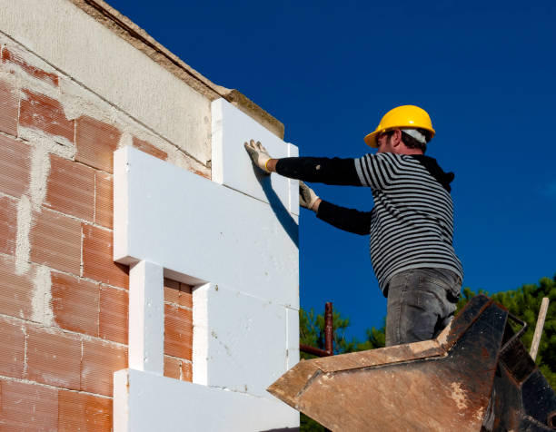 Best Insulation Replacement Services  in Scotland Neck, NC