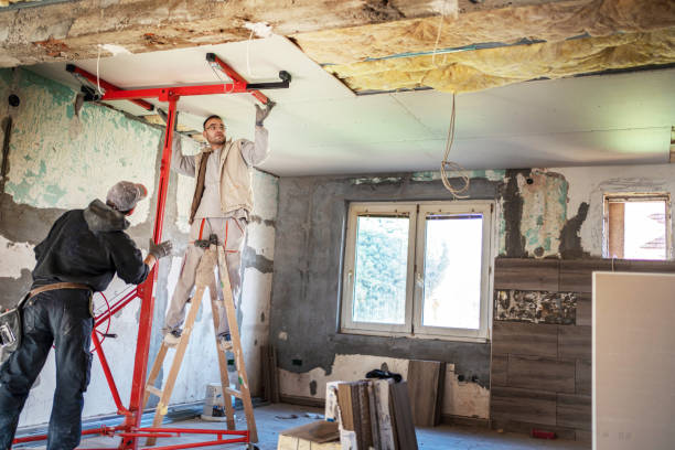 Best Insulation Repair Services  in Scotland Neck, NC