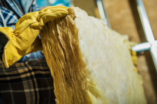 Best Insulation Inspection Services  in Scotland Neck, NC