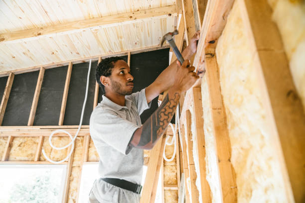 Best Home Insulation Services  in Scotland Neck, NC