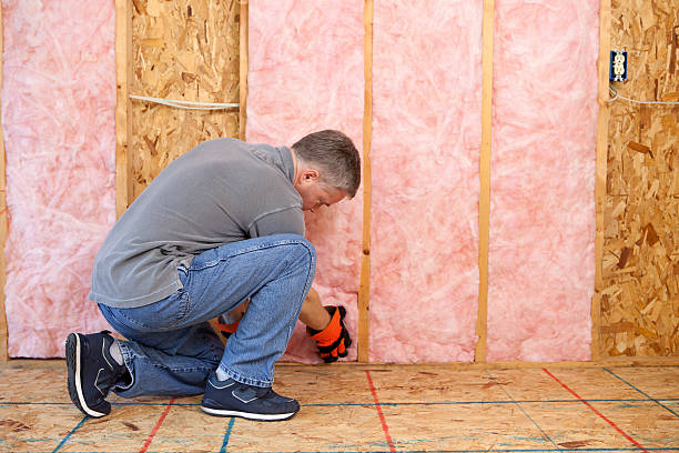 Best Insulation Contractors for Homes  in Scotland Neck, NC