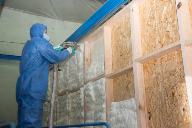 Best Wall Insulation Contractor  in Scotland Neck, NC